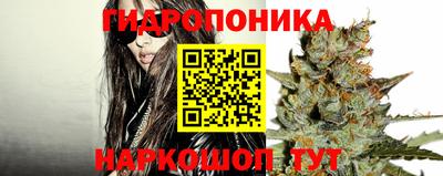 кокс Боровичи