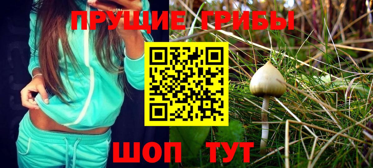 Псилоцибиновые грибы Magic Shrooms  Вход с VPN  Губкинский  цены   Псилоцибиновые грибы Cubensis 
